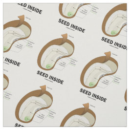 Tecido Semente dentro do humor da anatomia do feijão