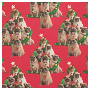 Tecido Sete Pugs-a-Posing