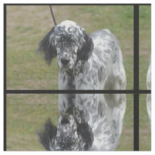 Tecido Setter inglês preto e branco doce