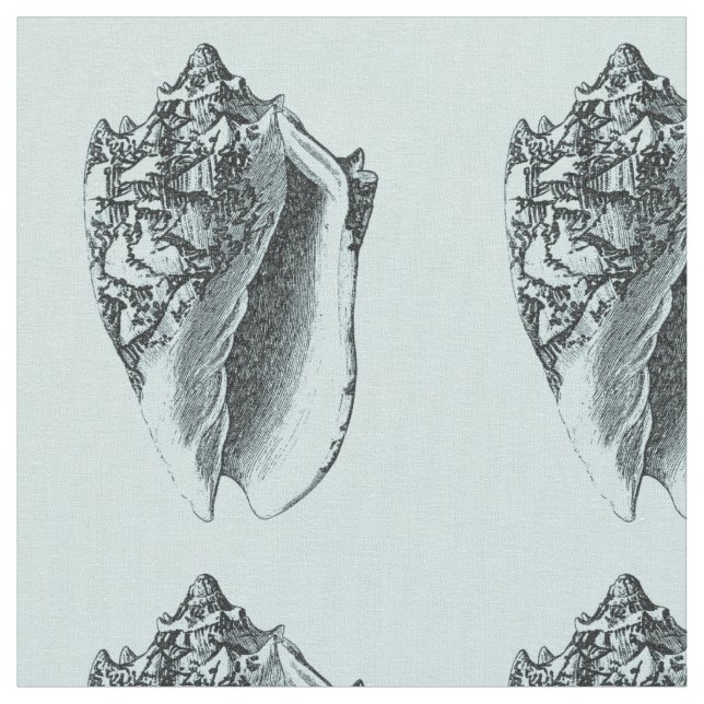 Tecido Shell Aqua Conch (Detalhe)