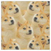 Shiba Inu, Rouco, Ouro Cão Bonito. Puppy