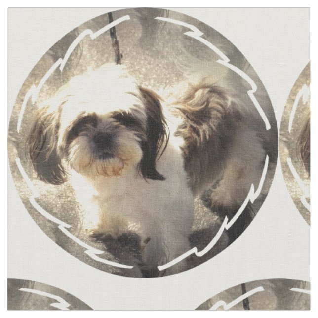 Tecido shih-tsu-2 (Detalhe)