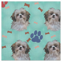 Shih Tzu Portrait