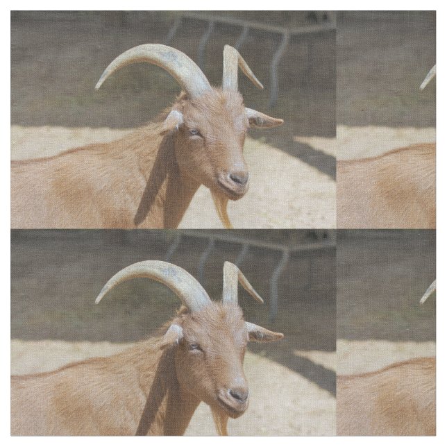 Tecido Sr. Bill (Detalhe)