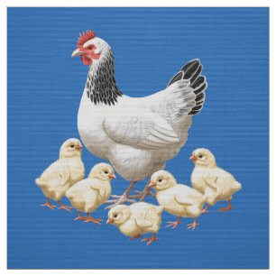 Tecido Sussex Chicken Mama Hen e Pintinhos