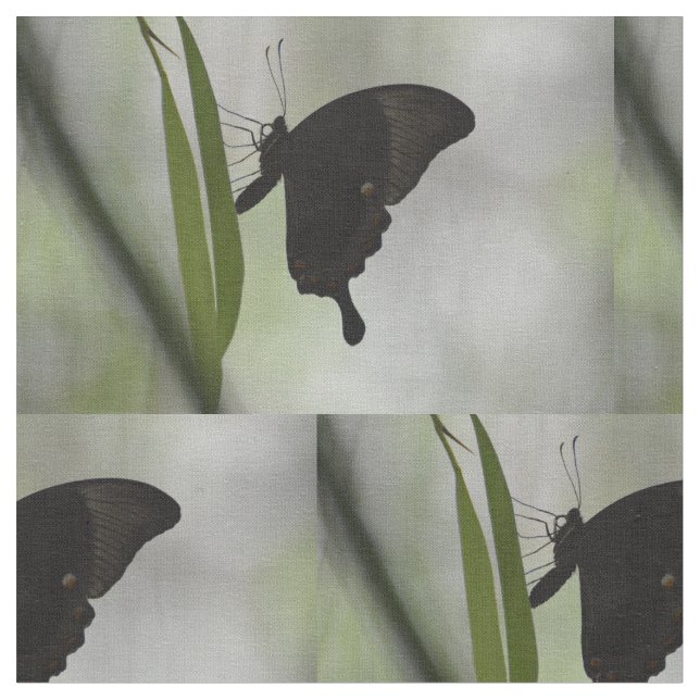 Tecido Swallowtail preto (Detalhe)