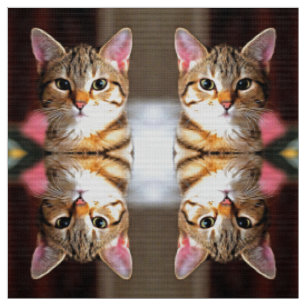 Tecido Tabby Artístico Cat Kitten Retrato