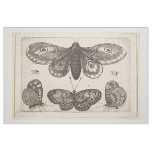 Tecido Tapeçaria dos Lepidoptera da borboleta da traça