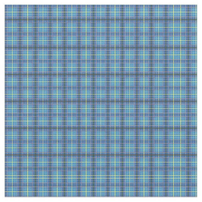 Tecido Tartan do estado de Texas (Detalhe)