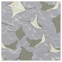 Teste padrão do oceano da arraia-lixa de Cownose