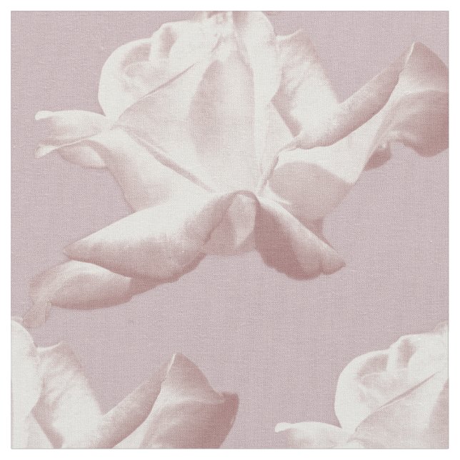 Tecido teste padrão dos rosas (Detalhe)