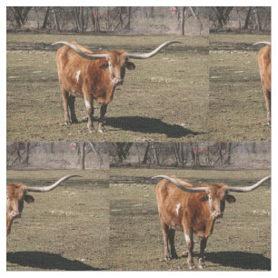 Tecido Texas Long Horns!