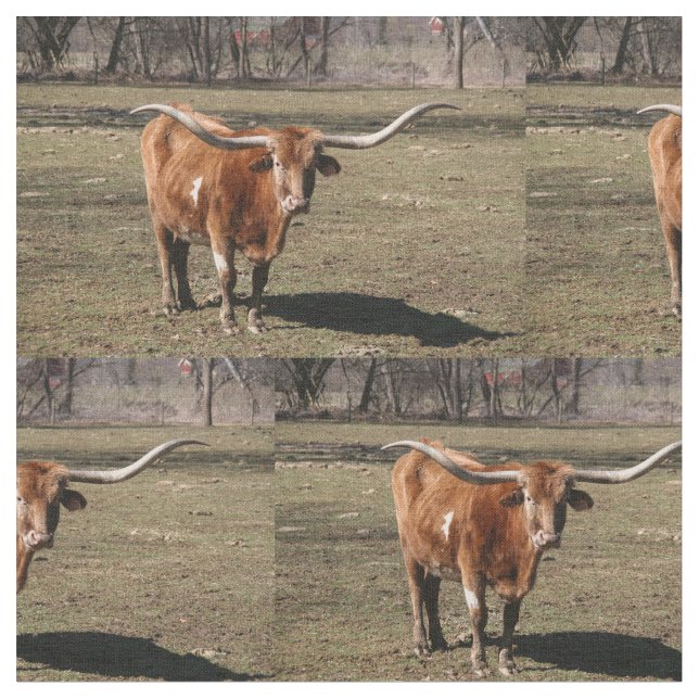 Tecido Texas Long Horns! (Detalhe)