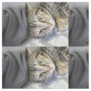 Tecido Tigre