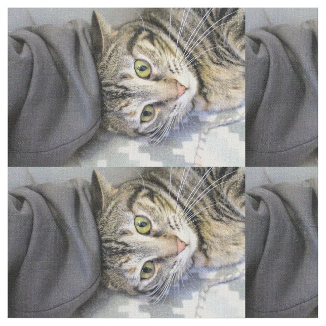 Tecido Tigre (Detalhe)