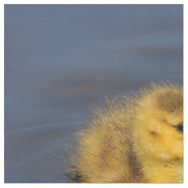 Tecido Tiny Swimmer: Canadá Gosling