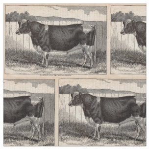 Tecido Touro do século XIX de Holstein do impressão