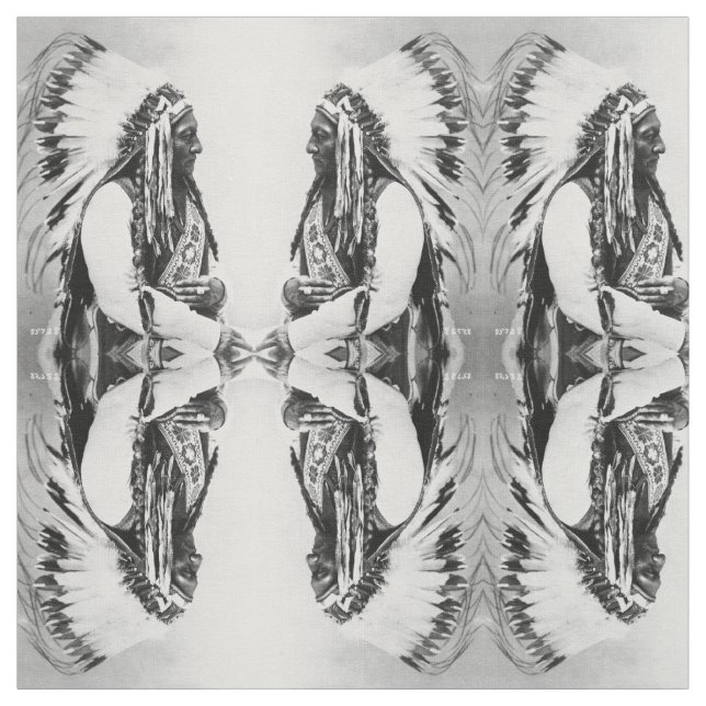 Tecido Touro Sentado, um Hunkpapa Sioux (Modelo)