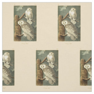 Tecido Trabalho de arte de Snowy Owl Audubon
