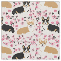 três cadelas de corgi flores de cereja rosa