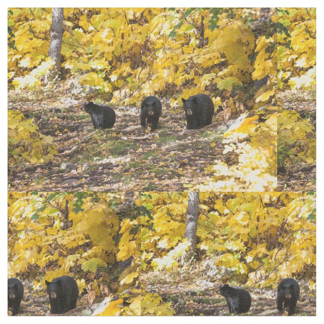 Tecido Três Ursos (Detalhe)