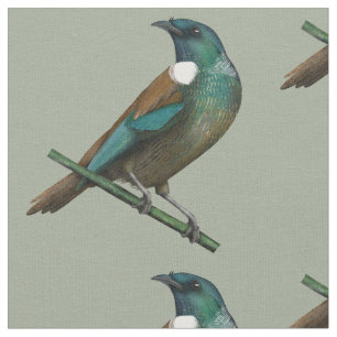 Tecido Tui New Zealands Bird