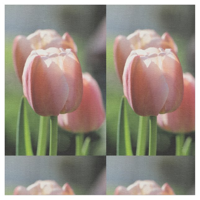 Tecido Tulipa rosa (Detalhe)