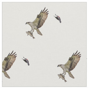 Tecido Um osprey do homem que leva um peixe e que está