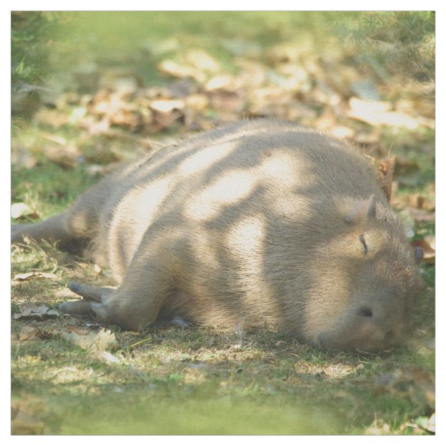Tecido Uma bela Capybara Sonha no Sol de Verão (Modelo)