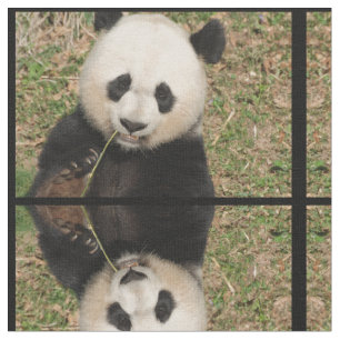 Tecido Urso de panda gigante bonito