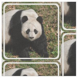 Tecido Urso de panda impertinente