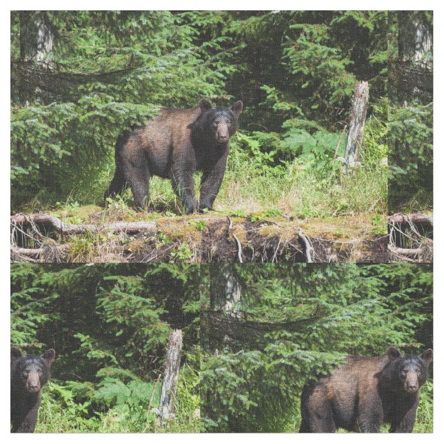 Tecido Urso Negro Alfa (Detalhe)