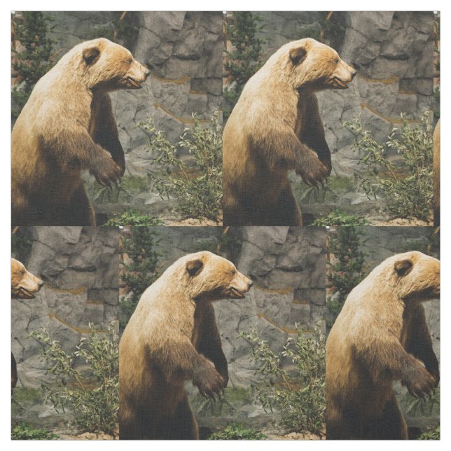 Tecido Urso Ordenado (Modelo)