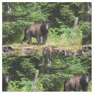 Tecido Urso preto alfa