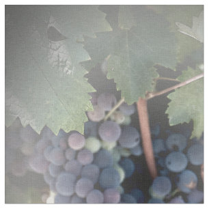 Tecido - Uvas na Vinha