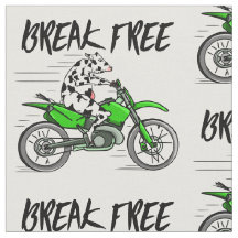 Vaca negra e branca quebrando-se