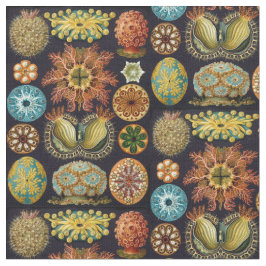 Tecido Vida do oceano do Ascidiae de Ernst Haeckel