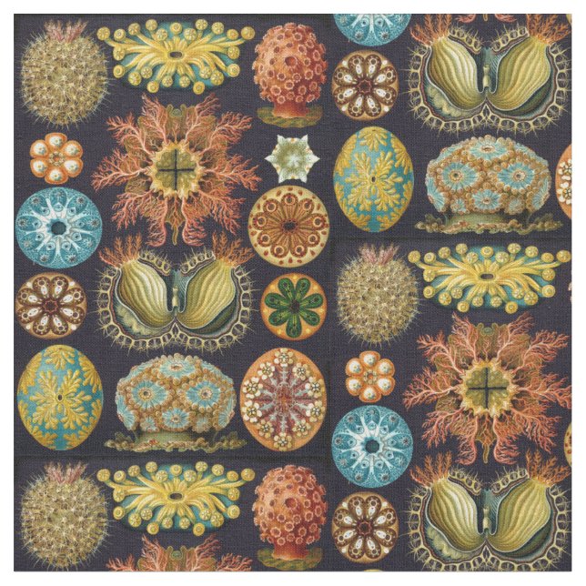 Tecido Vida do oceano do Ascidiae de Ernst Haeckel (Detalhe)