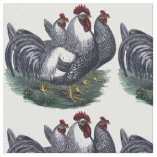 Tecido Vintage Chicken Trio