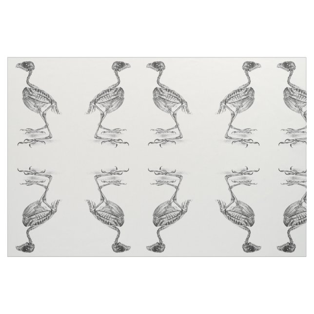 Tecido Vintage gravura de esqueleto de bebê (Fat Quarter)