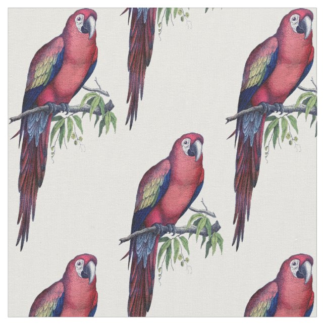 Tecido Vintage Macaw Bird (Detalhe)