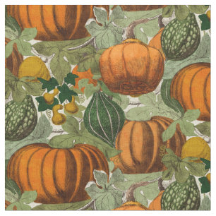 Tecido Vintage Pumpkins & Gourds
