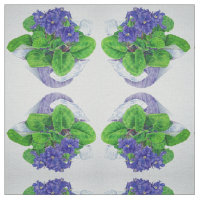 Violeta africana