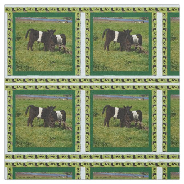 Tecido Vitelos Galloway Cinturados No País, (Modelo)