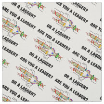 Você É Líder? Ou Um Lagger? Geek DNA Humor