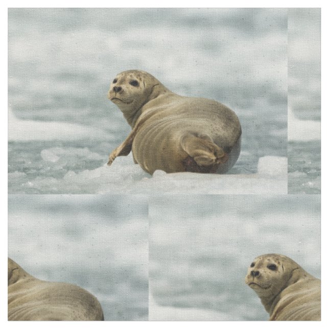 Tecido Wary Seal (Detalhe)