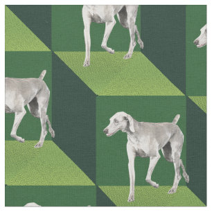 Tecido Weimaraner em cubos verdes