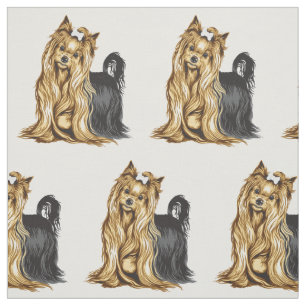 Tecido yorkshire terrier
