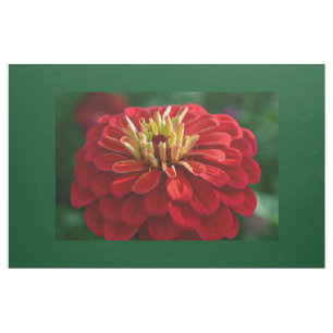 Tecido Zinnia vermelha