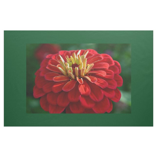 Tecido Zinnia vermelha (Jarda)
